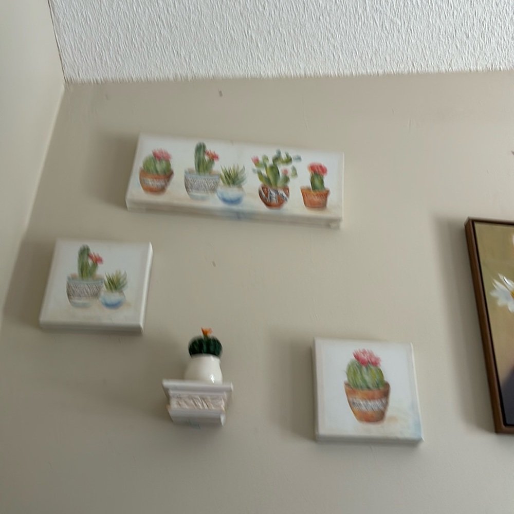 Cactus wall hangings  very cute